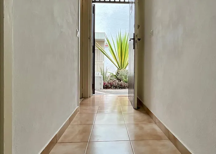 Primavera * طوستا ديل سيلونثيو