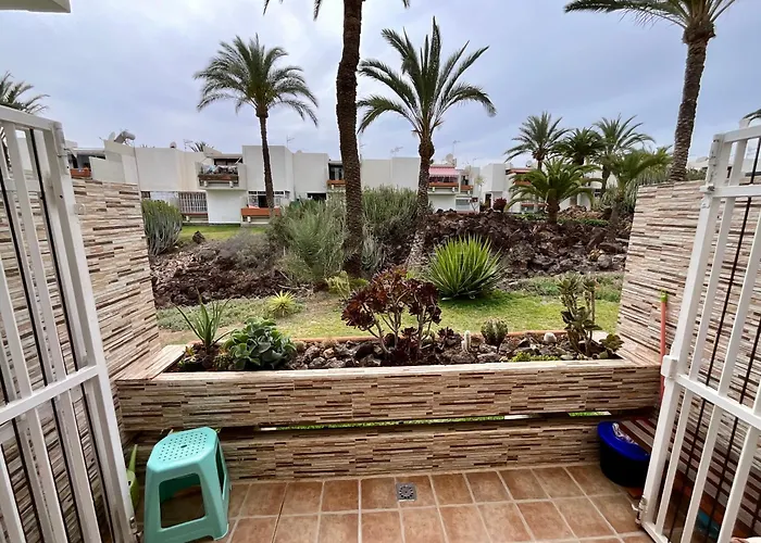 Primavera קוסטה דל סילנסיו