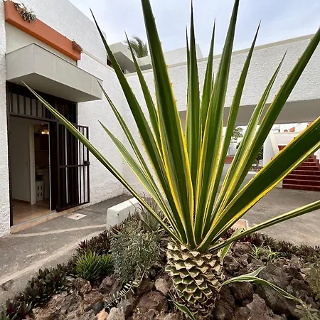 Primavera アパート *